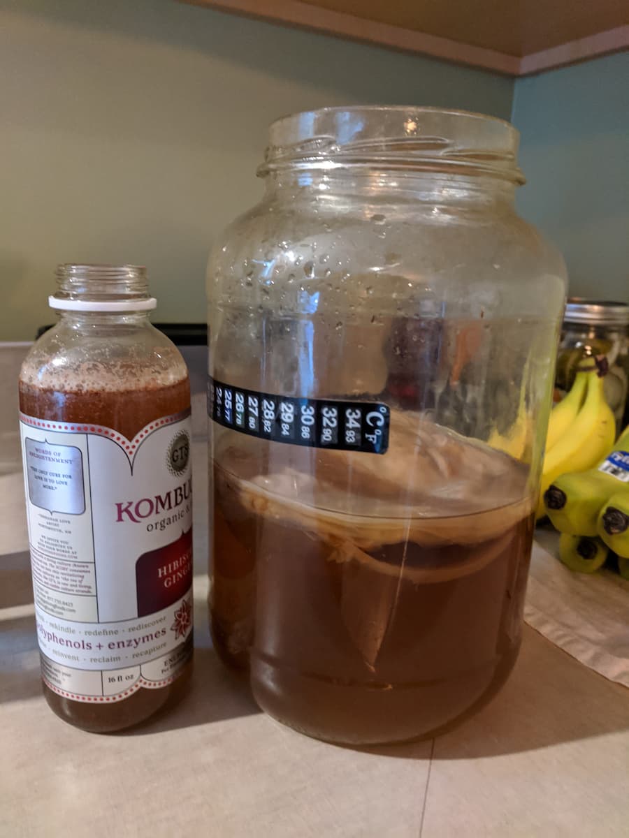 kombucha